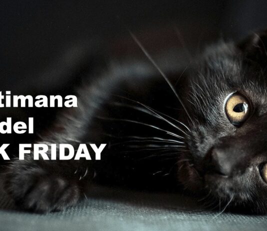 Amazon Black Friday: le offerte del 21/11 dedicate agli animali