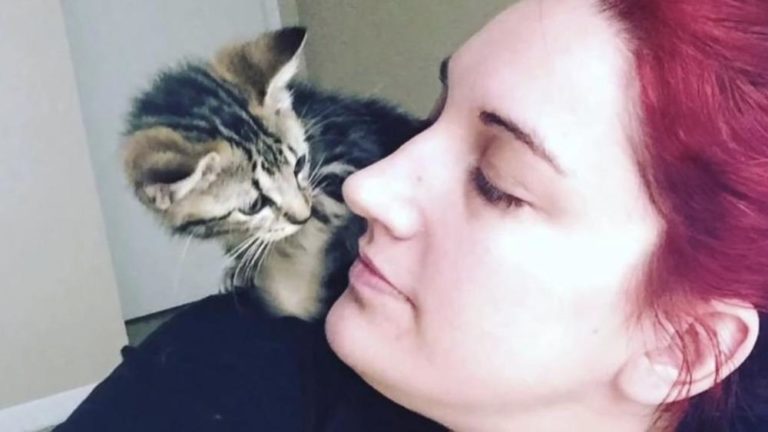 Donna trova un gattino nel luogo dov’era stata abbandonata alla nascita
