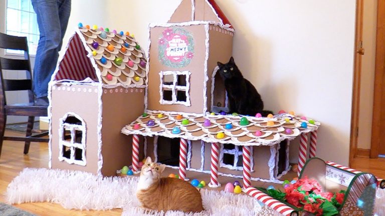 Una casa di pan di zenzero fai da te per gatti!