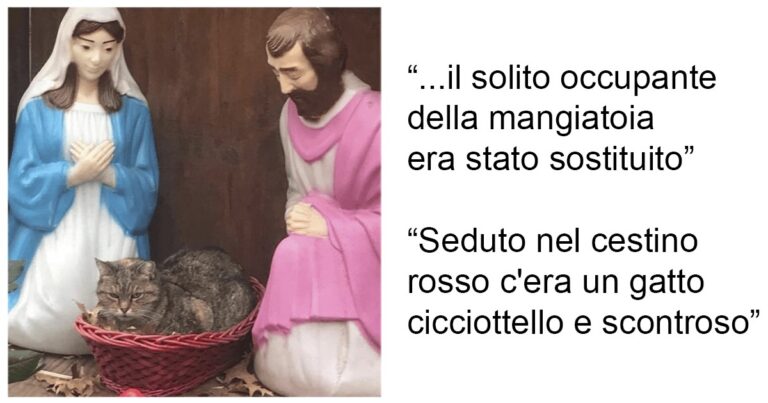 Si sono messi tutti a ridere dopo che questo gatto si è insediato in un presepe a New York