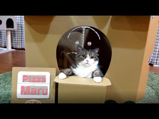 Maru fa il pizzaiolo