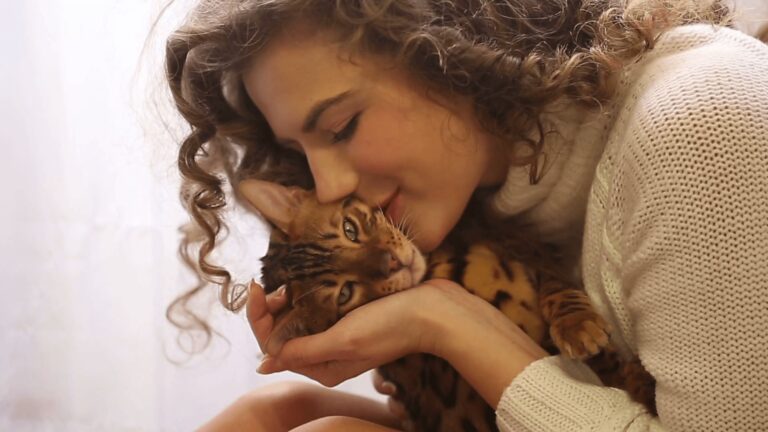 10+ motivi per cui un gatto è meglio di qualunque partner