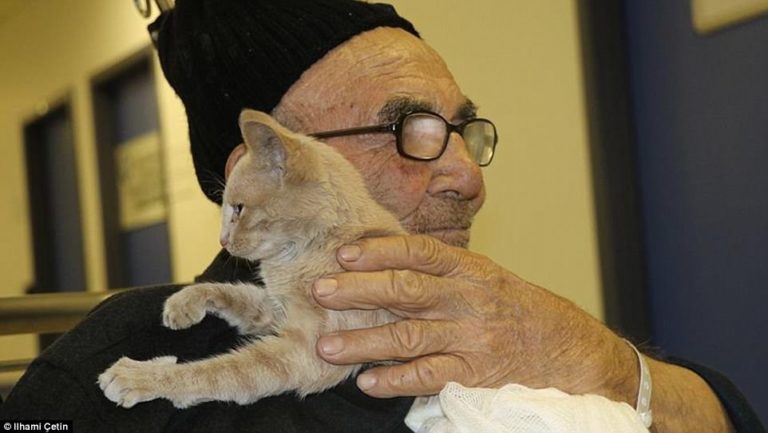 Il governo turco assegna una nuova casa a “Zio Alì”, il vecchietto col gattino salvato da un incendio