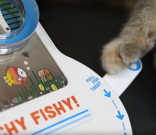 “Ho costruito per la mia gatta un flipper che distribuisce crocchette”