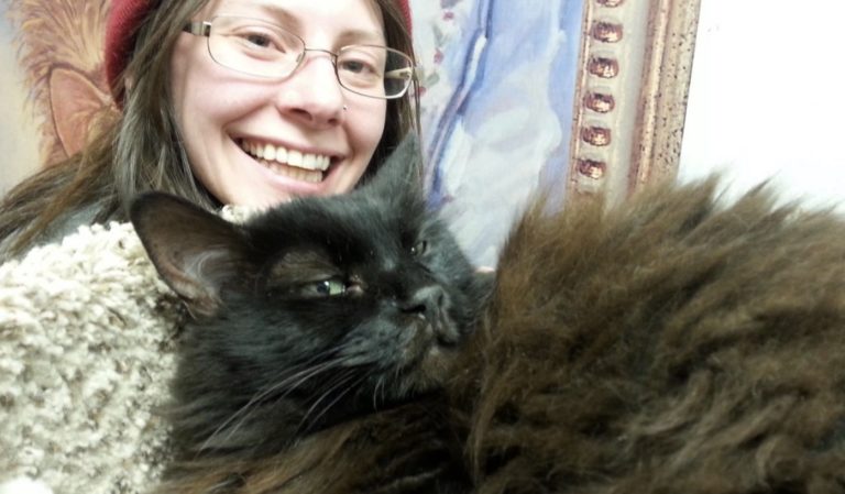 Una ragazza va al gattile e chiede del gatto più scontroso. E tra i due è subito amore