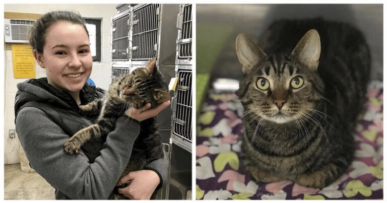 Un gatto è felicissimo quando una ragazza va a prenderlo al gattile