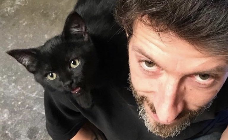 Un gattino randagio trova qualcuno che lo ama e lo segue ovunque