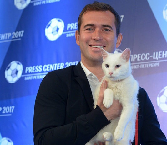 Achille, il gatto indovino dei Mondiali di calcio in Russia achille gatto oracolo