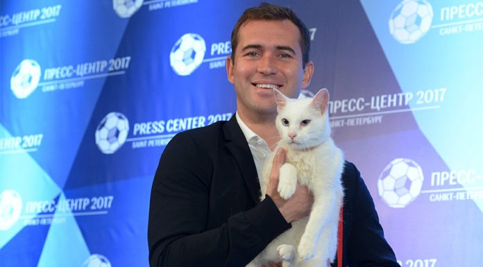 achille gatto oracolo
