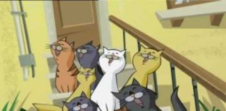 gatto puzzolone