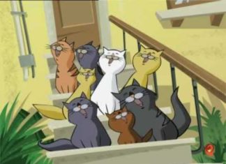 gatto puzzolone