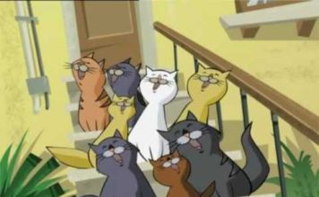 Gatto puzzolone gatto puzzolone