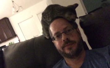 Gattino fa lo shampo al suo paparino