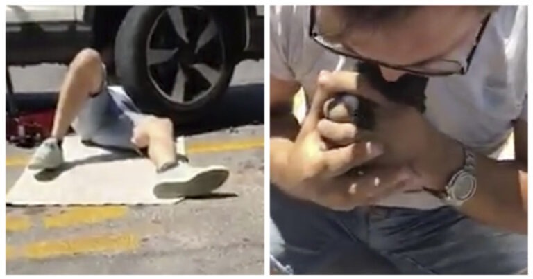 Siracusa, salvati otto gattini che erano incastrati in un’auto