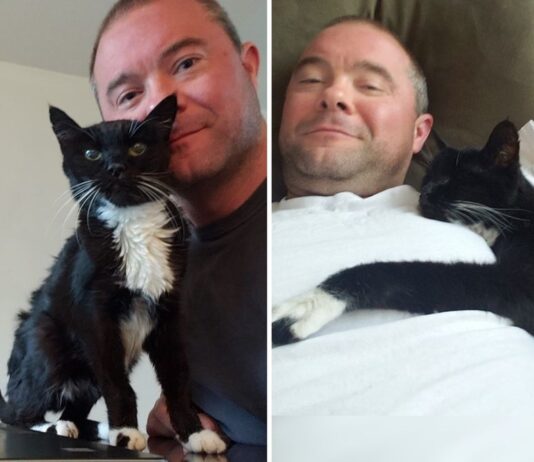 Sammy, un gatto adottato quando avevo 18 anni, ora ne compie 20
