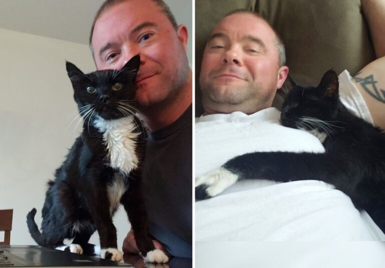 Sammy, un gatto adottato quando avevo 18 anni, ora ne compie 20