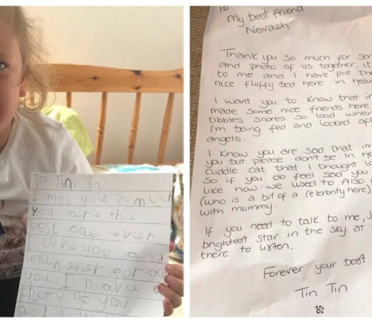 Una bimba di 5 anni scrive una lettera alla sua gatta in Paradiso… e riceve una risposta