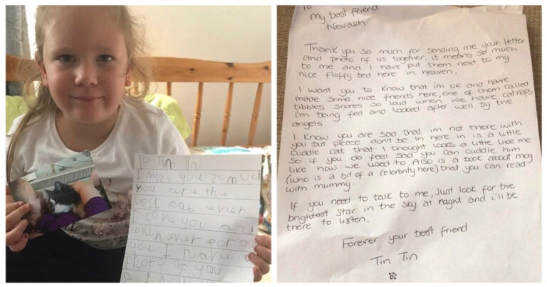 Una bimba di 5 anni scrive una lettera alla sua gatta in Paradiso… e riceve una risposta