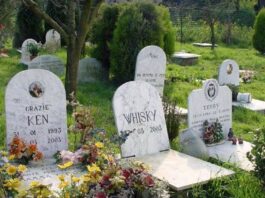 Il Comune di Genova avrà il suo cimitero per gli animali cimitero-animali