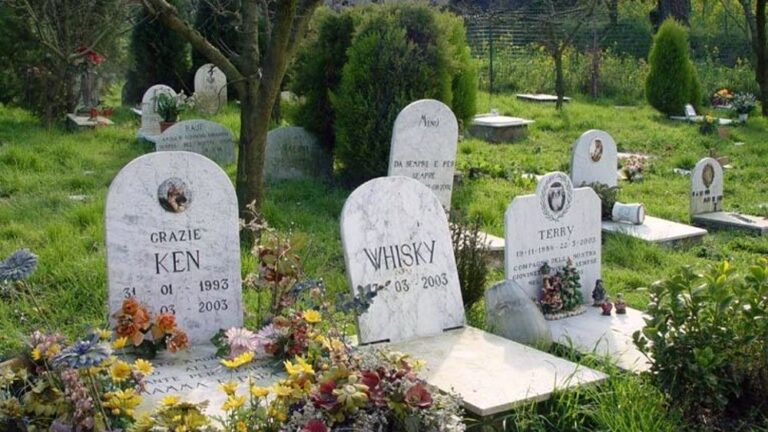 cimitero-animali