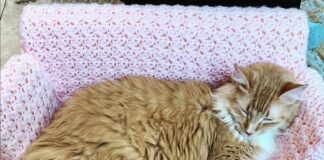 divanetto-gatto-uncinetto