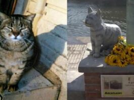 ettore-gatto-viareggio-statua