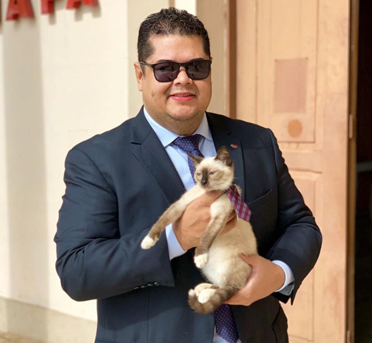 gatto-brasile-leon-avvocato