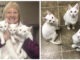 Vuole adottare due gattini, ma alla fine porta a casa tre inseparabili fratellini