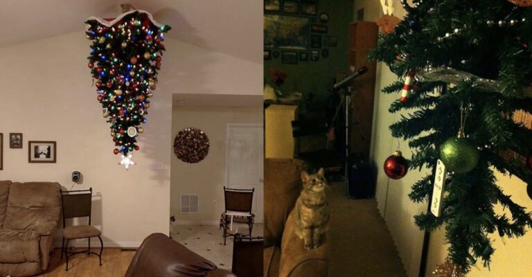 10 Soluzioni estreme per salvare l’Albero di Natale dal gatto