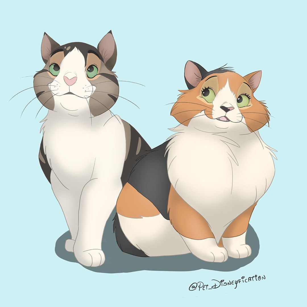 gatti-disegni-disney 34