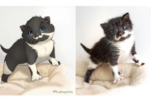 gatti disegni disney copertina gallery