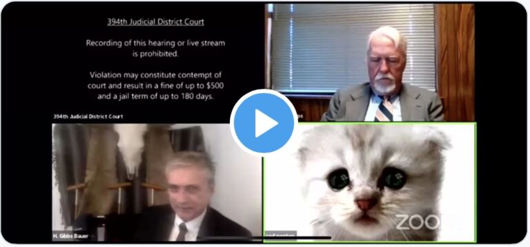 Avvocato dimentica un filtro acceso su ZOOM, il giudice lo vede come un gatto parlante