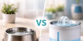 Ciotola o fontanella: cosa preferisce davvero il gatto Ciotola o fontanella