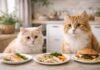 Il gatto può mangiare cibo per umani? Cosa sì e cosa no Il gatto può mangiare cibo per umani