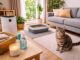 Odori di gatto in casa: cosa funziona davvero e cosa no odori di gatto in casa