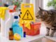 Prodotti per la pulizia: quali evitare se hai un gatto prodotti per la pulizia