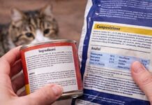 etichetta del cibo per gatti