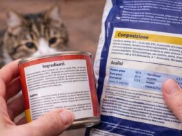 etichetta del cibo per gatti