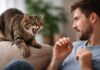 Gatto aggressivo con una sola persona: perché succede Gatto aggressivo con una sola persona