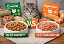 Umido completo e complementare: differenze reali Umido completo e complementare